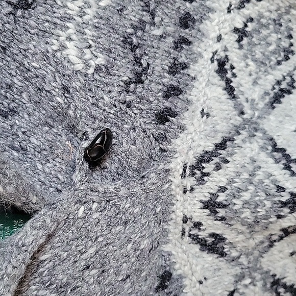 Ralph Lauren Hand Woven Cardigan Wool Sweater - Picture 3 of 8